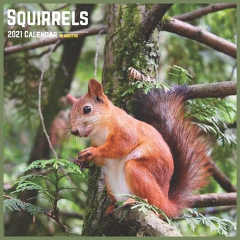 Squirrels 2021 Calendar: Official Squirrel Wall Calendar 2021 Paperback, Independently Published, English, 9798580628721