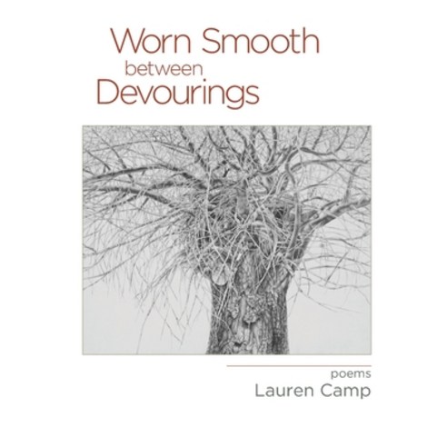 (영문도서) Worn Smooth between Devourings Paperback, NYQ Books, English, 9781630451028