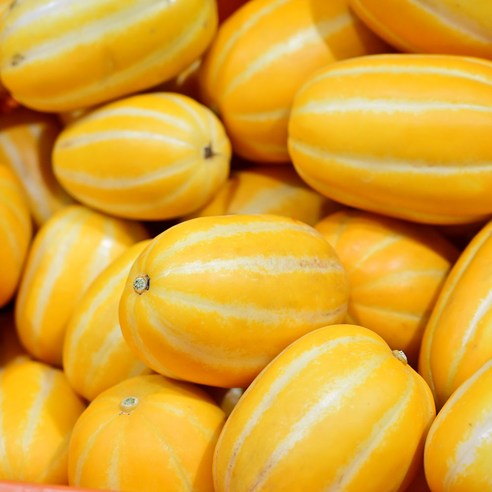 당일 수확의 달콤한 유혹: 성주참외