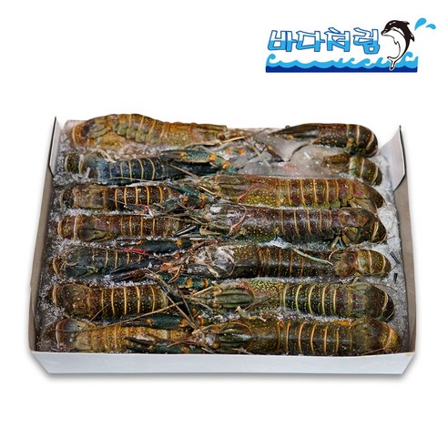 신선하고 영양가 풍부한 마라롱샤 인도네시아 크레이피쉬: 다양한 요리에 적합한 맛있는 해산물