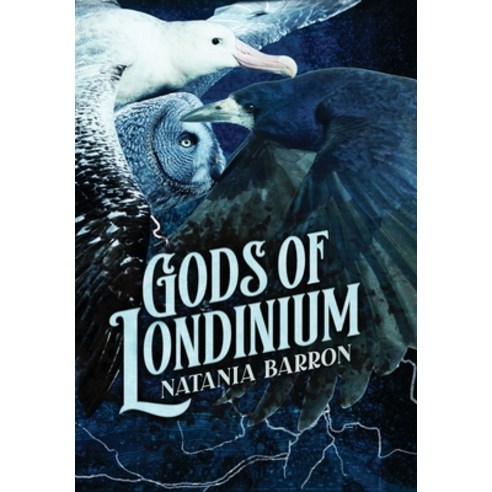 (영문도서) Gods of Londinium Hardcover, Falstaff Books, LLC, English, 9781645541790