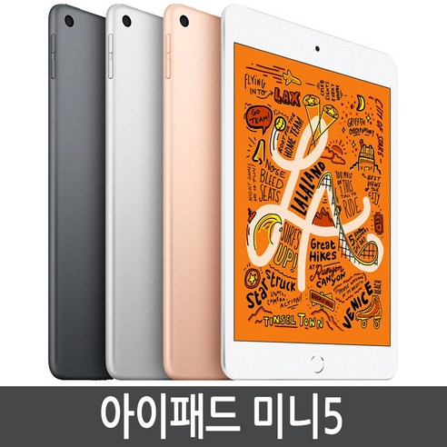 Apple iPad mini 5세대, 실버, 256GB, Wi-Fi