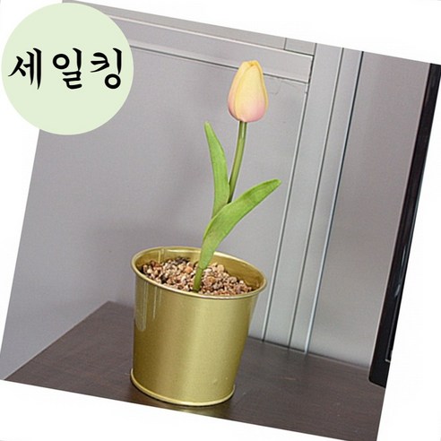 9CM 튼튼한 원형 화분으로 당신의 공간에 싱그러움을 더하세요!