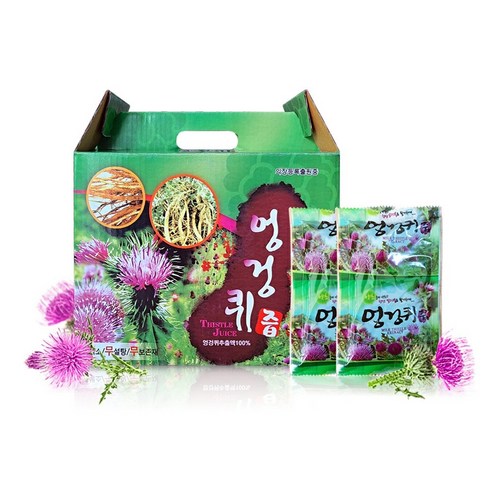 야생초건강원 100% 엉겅퀴즙, 6000ml, 1개