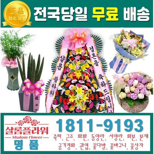 카라배달 카라꽃다발 돈다발꽃 축하꽃 축하꽃다발 어린이꽃다발 꽃쇼핑몰 꽃퀵 온누리플라워 꽃 꽃배달가격