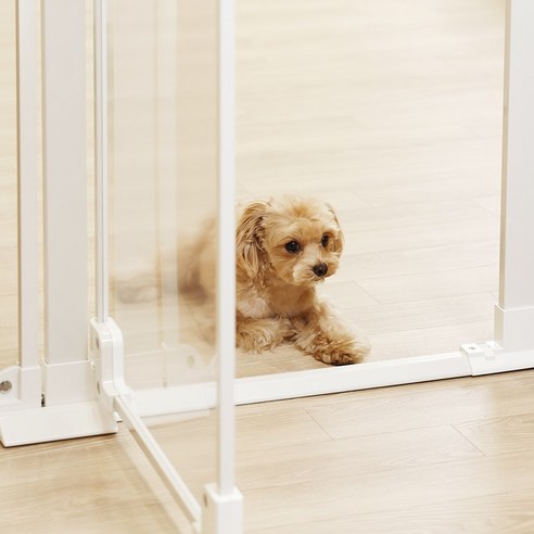 펫쭈 강아지 펜스: 강아지의 안전과 편안함 위한 완벽한 피난처