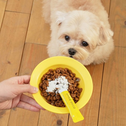 펫펫펫 굿랩 프로바이오틱스로 반려동물 장 건강과 면역력을 한 번에!