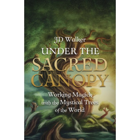(영문도서) Under the Sacred Canopy: Working Magick with the Mystical Trees of the World Paperback, Llewellyn Publications, English, 9780738765440