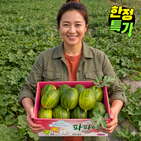 [하루 100개 한정판매] 국내산 산지직송 고당도 파파야메론 멜론, 1박스, 5kg