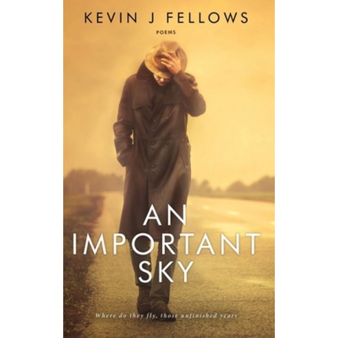 An Important Sky: Poems Paperback, Modern Folklore Press