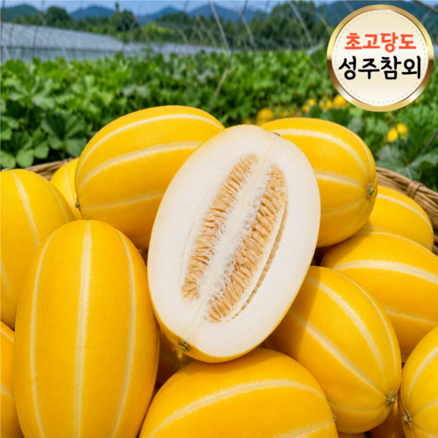[오픈특가]하루50박스한정 초고당도 성주참외 로얄과