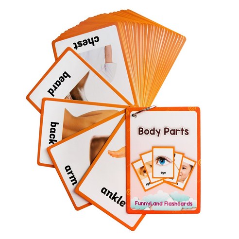 26종 760개 어린이 영어 플래시 카드 교육용 장난감 영어 유아 학습 카드, Body parts