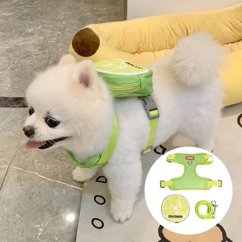 중푸바오 강아지 과일 모티브 하네스 + 리드줄 세트, 레몬/Green, 1개
