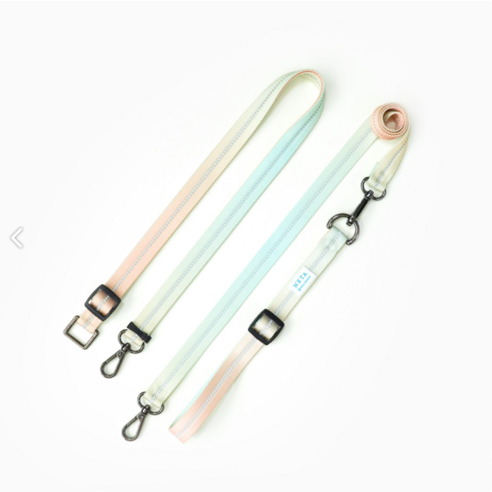 [스페이스독] 베이직 싱글리드줄 강아지 산책줄, 런웨이
