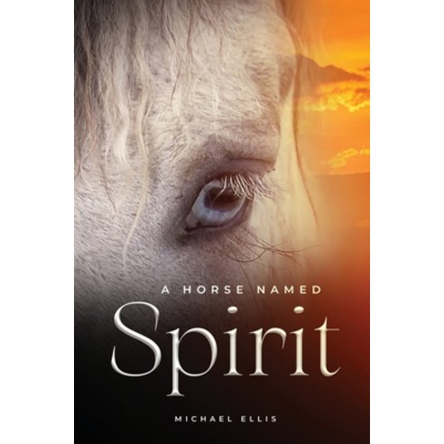(영문도서) A Horse Named Spirit Paperback, Amazon Pro Hub, English, 9781088039526