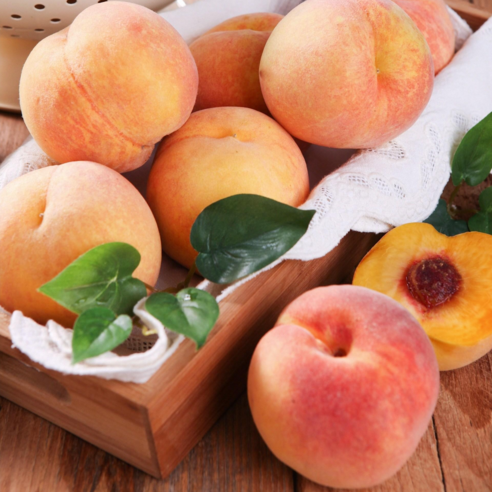 햇살 머금은 달콤함, 모두의보부상 하우스 복숭아 이야기 복숭아