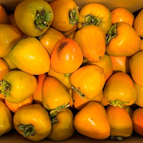 광양 대봉감 대봉 5kg 10kg, 1박스, 대봉감10kg상(37~40과) 9 업푸르트 가정용 대봉감 홍시용 곶감용, 1박스, 10kg (31-40개)