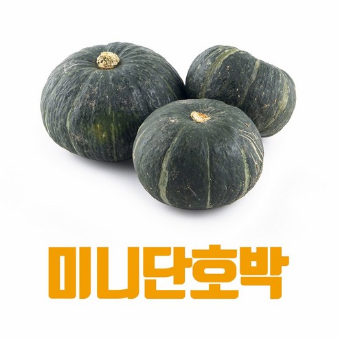 [산지직송] 24년 햇 단호박 제철 달콤 미니 단호박 늙은호박, 1박스, 미니단호박 1kg(2-6개)