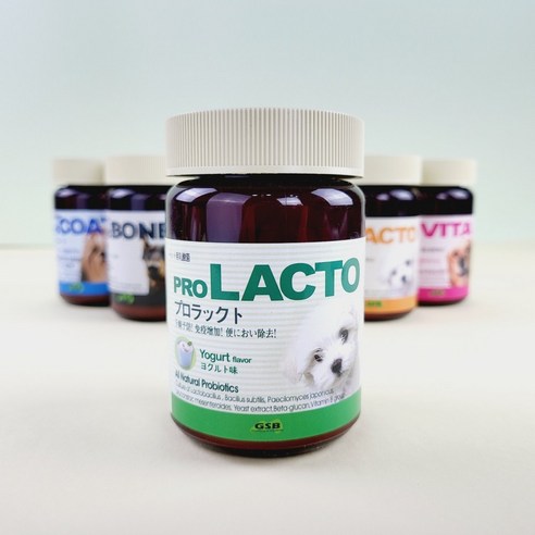 프로락토 프로본 프로비타 프로코트 강아지 고양이 유산균 관절 슬개골 피부 비타민 영양제, 1개, 프로락토(요구르트)