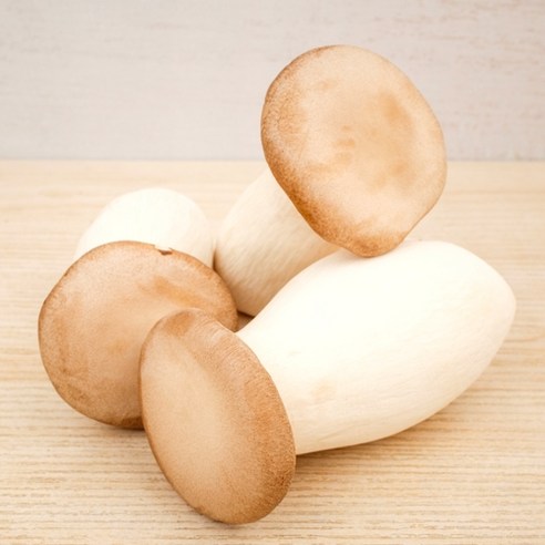 [기린농산]무농약 친환경 뿌리손질 새송이버섯, 2kg, 1개 - 기타버섯 | 쿠팡