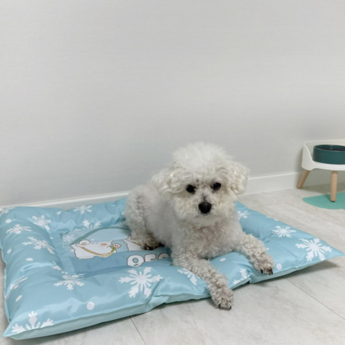 펫포에버 쿨방석: 여름철 반려견의 시원함과 편안함을 위한 선택