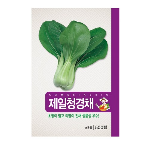 제일 청경채 씨앗, 1개