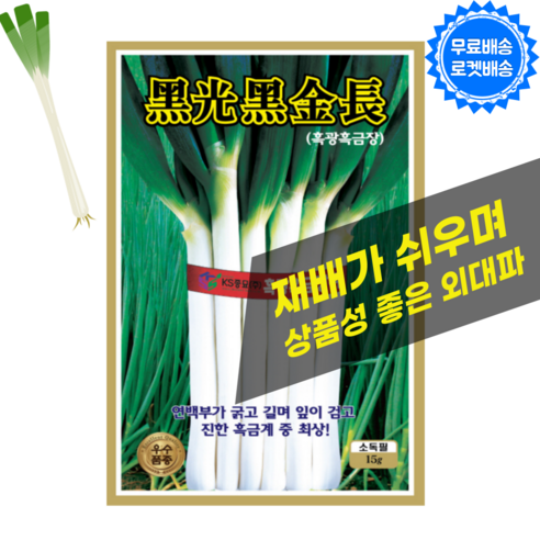 [씨앗팜] 대파씨앗 (15g) 흑금외대파 외대파 파씨앗, 1봉