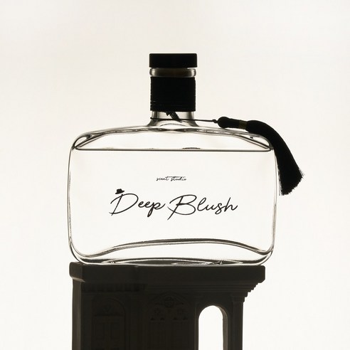 딥블러쉬 실내 방향제 대용량 디퓨저 본품+스틱6p 세트, 베이, 500ml, 1개