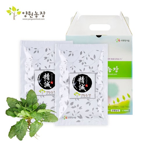 양원농장 곰보배추즙, 100개, 80ml
