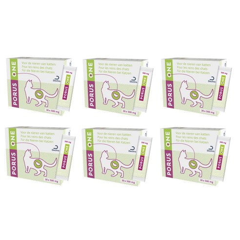 포루스원 500mg x30 신장보조제 고양이용 x6