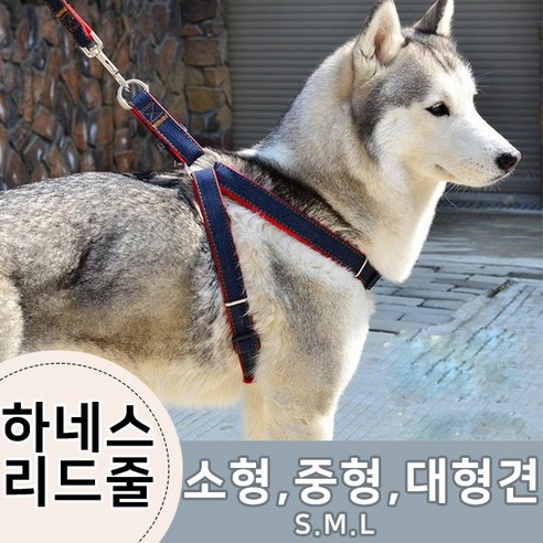 브라더펫 강아지 하네스 셋트 1.2m 산책줄 가슴줄 리드줄 목줄 소형견 중형견 대형견, 데님블랙