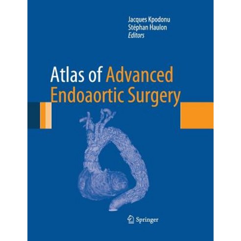 Atlas of Advanced Endoaortic Surgery Paperback, Springer