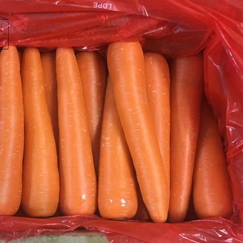 10kg 중국산세척당근 수입당근 중국산당근 식당용 업소용 급식채소, 1개, 10kg