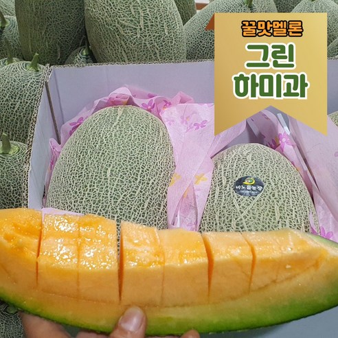 [함안] 멜론 메론 국산 경상남도 고당도 꿀 노을 메론 제철과일 멜론, 머스크멜론(2kg내외 1수), 1개