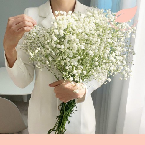 [오케이나우ㅣ강추] 정아네식탁 웨딩촬영의 정수, 절묘한 안개꽃 생화 꽃다발 [OKNOWㅣ추천상품]