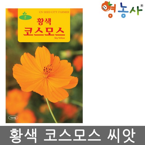 황색 코스모스 씨앗 150립 황화 코스모스씨 종자, 황코스모스
