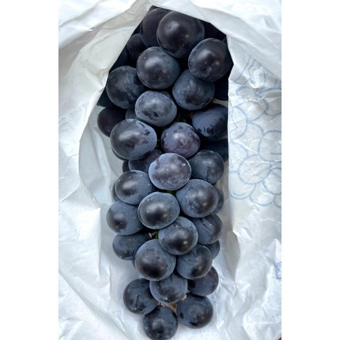 프룻데이 송산포도, 달콤한 유혹을 지금 만나보세요!