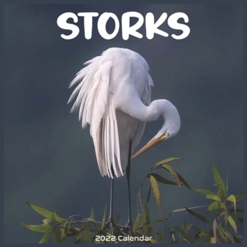 (영문도서) Storks 2022 Calendar: Official Stork Birds 2022 Calendar 16 Months Paperback, Independently Published, English, 9798749431896