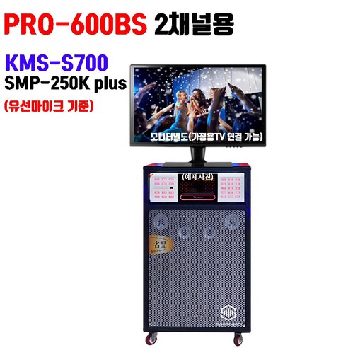 PRO-600BS 금영 가정용 2채널 이동식노래방기기 세트(S700+250K+마이크 기준), 무선마이크 기준(유선마이크 제외), 선택안함