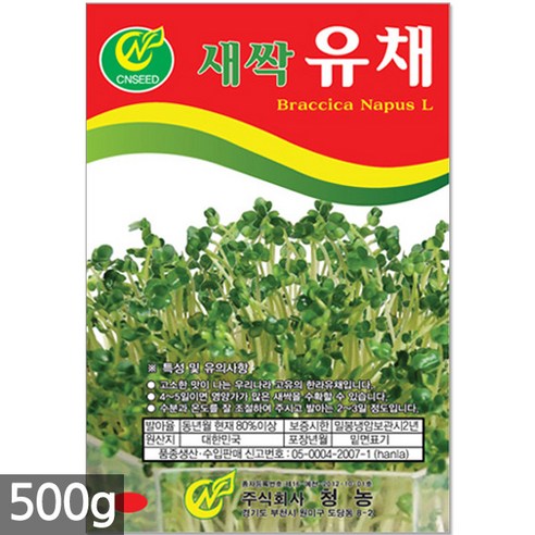 청농종묘 대용량 유채 새싹 씨앗 500g – 새싹씨앗 유채씨앗 유채새싹씨앗 새싹유채 유채씨 새싹씨앗유채, 07_새싹대용량_배추(500g), 1개 고양이풀씨앗