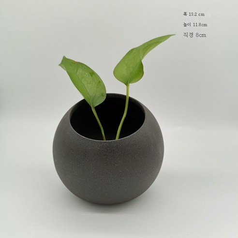 DFMEI 마른꽃꽂이도 아이디어공예품 테이블웨어 도자기 소화기 홈 앤티크 물배꽃병, DFMEI라지블랙오픈형, 하나