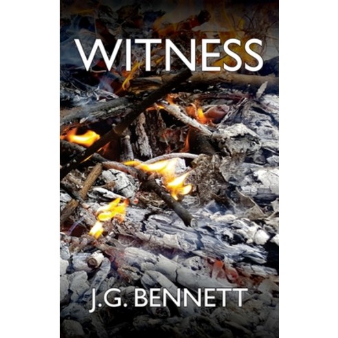 (영문도서) Witness: The Story of a Search Paperback, Createspace Independent Pub..., English, 9781545300237