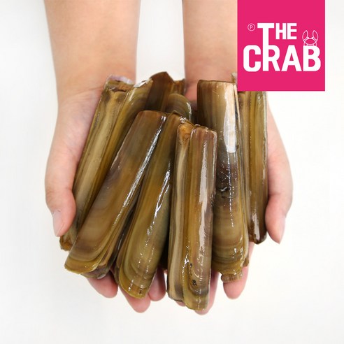 태안의 풍부한 풍미를 담은 신선한 조개류