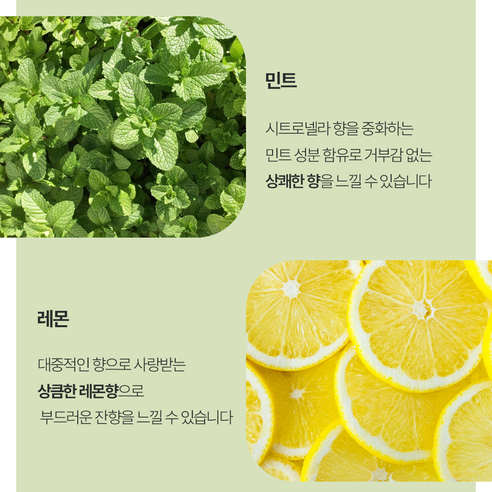 모기 걱정 없이 쾌적하고 즐거운 여름을!