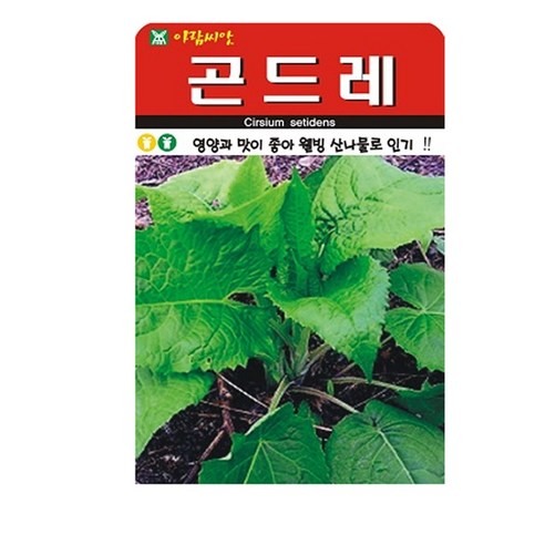 곤드레 씨앗, 1개