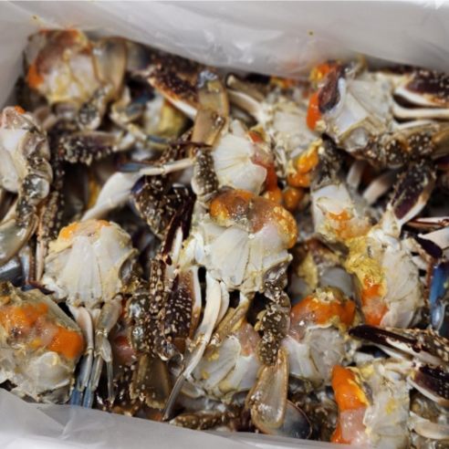 K꽃게 국내산 절단 손질꽃게 1kg 무침 탕용 연안부두 신광수산, 1개, 국내산 숫 손질꽃게 1kg (15~20쪽)