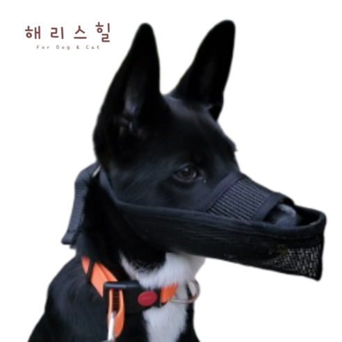 해리스힐 초경량 원버튼 메쉬 입마개 M, 1개, 모던블랙