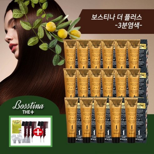 보스티나 염색제 17개구성 (본품17+빗5), 흑갈색