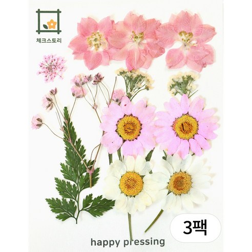 체크스토리 압화 미니컬러믹스 방과후수업 자연물놀이 꽃송이, 핑크(3팩)