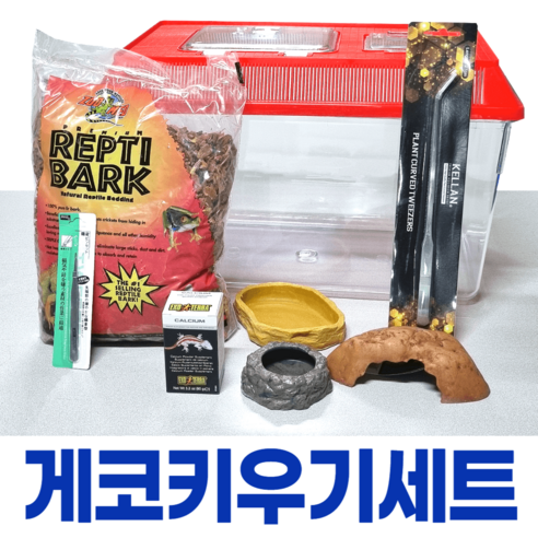 하우스&듄게코 키우기 필수 세트 [초보 입문자용], 하우스게코, 기본